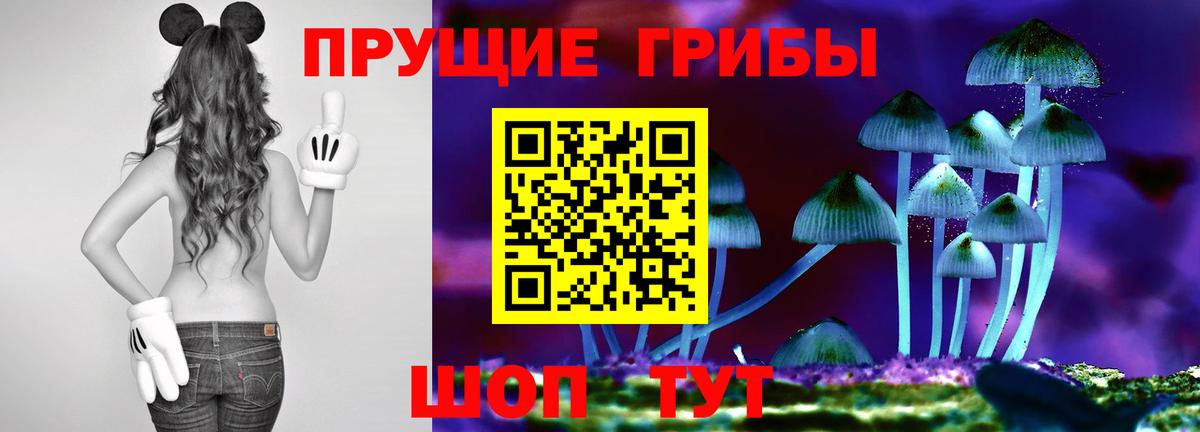 Лесозаводск  Галлюциногенные грибы Magic Shrooms  Вход с VPN  Галлюциногенные грибы Psilocybe 
